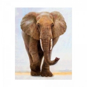 Картина алмазами на подрамнике "Слон"
