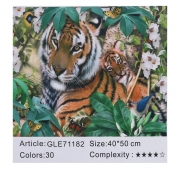 Картина алмазами на підрамнику 