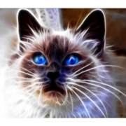 Картина алмазами неоновая "Голубоглазая кошка" без подрамника