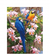Картина на холсте  "Попугаи на орхидеях" по номерам