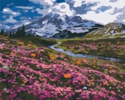 Картина по номерам "Альпийский луг"
