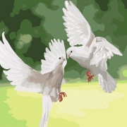 Картина за номерами "Білосніжні голуби"