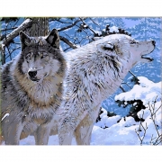 Картина по номерам "Дикие волки"