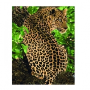 Картина за номерами "Леопард"
