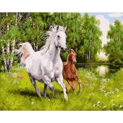 Картина по номерам "Лошади"