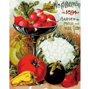 Картина по номерам "Овощное изобилие"