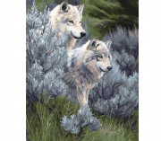 Картина за номерами "Пара вовків"