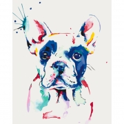 Картина по номерам "Разноцветный пес"