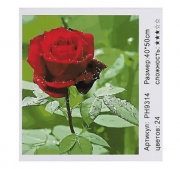 Картина за номерами "Троянда" в коробці