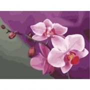 Картина за номерами "Рожеві орхідеї"