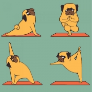 Картина за номерами "Yoga-dog"