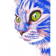 Картина за номерами "Зеленоокий кіт"