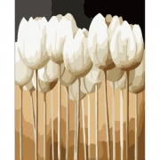 Картина по номерам «Белые тюльпаны»