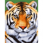 Картина за номерами «Бенгальскій тигр»