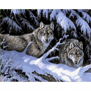 Картина по номерам «Волчье братство»