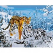 Картина по номерам на подрамнике животные "Амурские тигры"