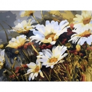 Картина по номерам цветы "Полевые ромашки"