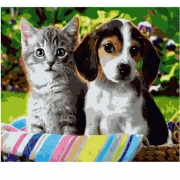 Картина-раскраска по номерам "Котенок и щенок" в коробке