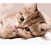Картина-раскраска по номерам "Маленький котик" в подарочной коробке