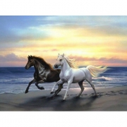 Картина стразами на подрамнике "Пара лошадей"