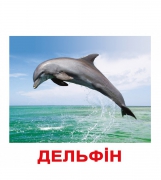 Карточки Домана большие украинские   "Обитатели водоёмов"