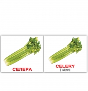 Карточки Домана мини украинско-английские "Овощи/Vegetables"