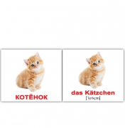 Картки  міні російсько-німецькі "Домашні тварини / Haustiere"