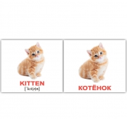 Карточки  мини русско-английские "Домашние животные/Domestic"