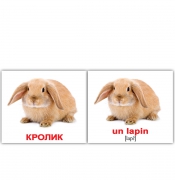 Русско-французские "Домашние животные/Les animaux domestigues"