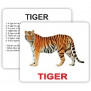 Карточки большие английские "Wild animals with facts" ламинированные 30 штук
