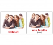 Карточки мини русско-французские "Семья/La famille"