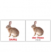 Картки міні російсько-німецькі "Дикі тварини / Wildtiere"