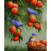 Набор для росписи по номерам "Дрозды и персики"