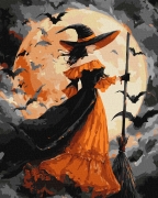 Набор для росписи по номерам "Ведьма при луне"