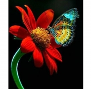 Набор для творчества алмазная мозаика "Бабочка и цветок"