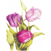 Набор для творчества картина по номерам "Нежные тюльпаны"