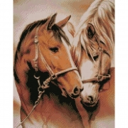 Набор картина алмазами "Пара лошадей"