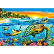 Пазл Castorland "Морские черепахи"