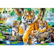 Пазл Castorland "Сім'я тигрів у струмка"