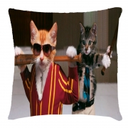 Подушка 3D "Коты с битами"