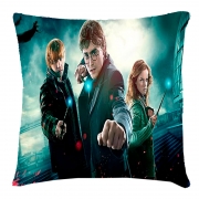 Подушка эко с изображением "Harry Potter"
