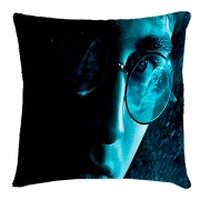 Подушка эко с принтом Гарри Поттер