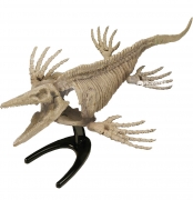 Раскопки морских монстров "Мозазавр"