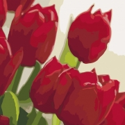 Рисование по номерам "Тюльпаны любимой"