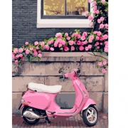 Роспись красками по номерам "Розовый скутер"
