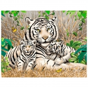 Роспись красками по номерам "Семья бенгальских тигров" в коробке