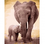 Роспись красками по номерам "Слон и слоненок"