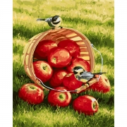 Роспись по номерам на холсте  "Хрустящие яблочки"