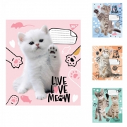 Тетрадь в линию 18 листов Live love meow упаковка 25 штук