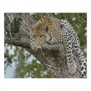 Вышивка алмазами с подрамником "Леопард на дереве"